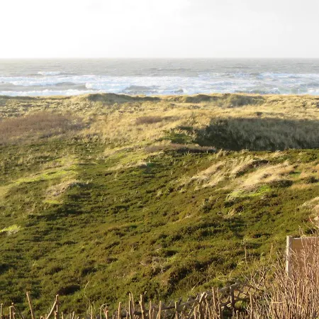 Strandduene