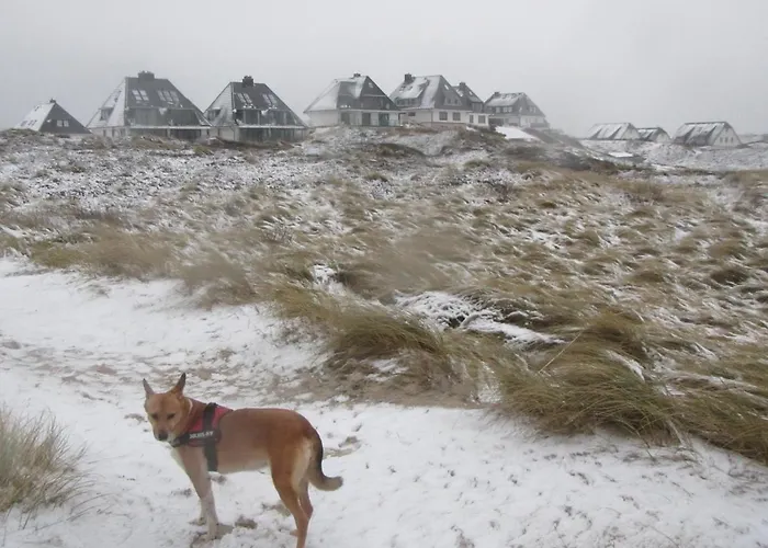 Strandduene Apartmán *